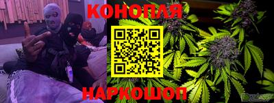 спиды Моздок