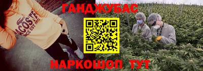 мдпв Можга