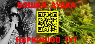 спиды Моздок
