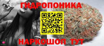 мдпв Можга