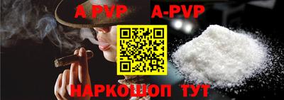 спиды Моздок