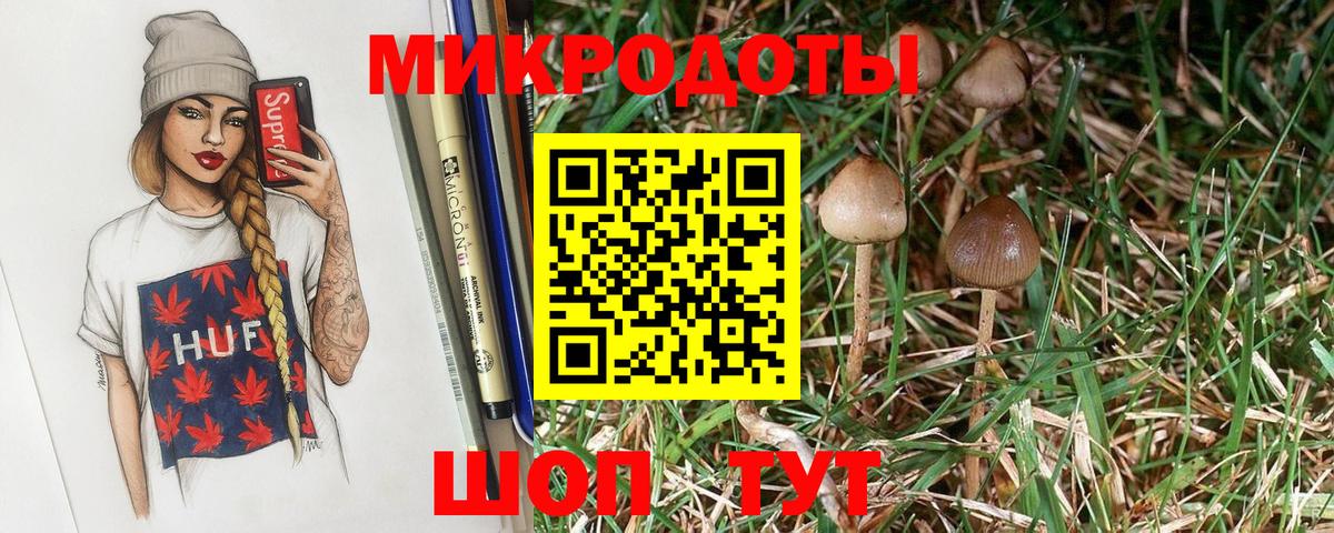 купить наркоту  Вход с VPN  Салехард  Псилоцибиновые грибы Cubensis  Галлюциногенные грибы Psilocybine cubensis 