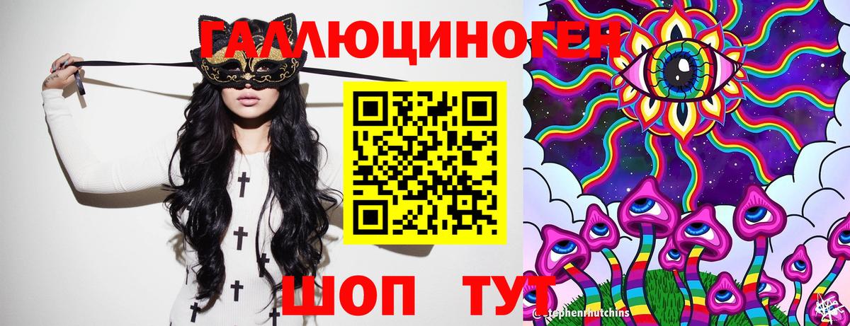 Псилоцибиновые грибы Cubensis Салехард