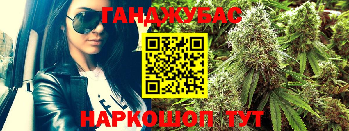 Конопля сатива Салехард